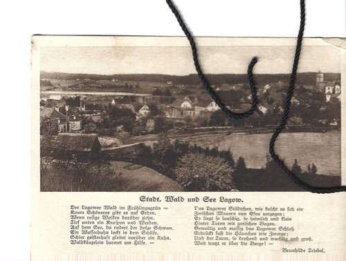 Stade wald und - wald, see